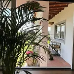 Casa Do Caracol منزل للإقامة