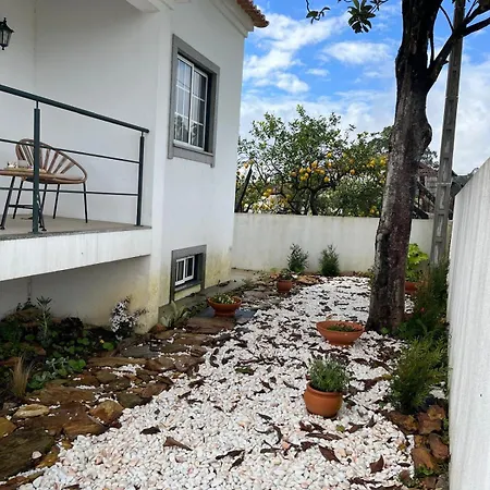Casa Do Caracol Oliveira de Azeméis