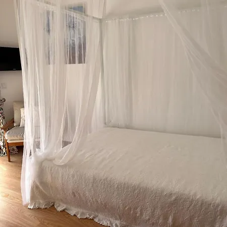 Casa Do Caracol Homestay szállás