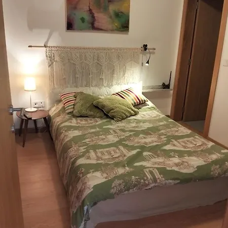 Casa Do Caracol 民宿 奥利韦拉-迪阿泽梅什