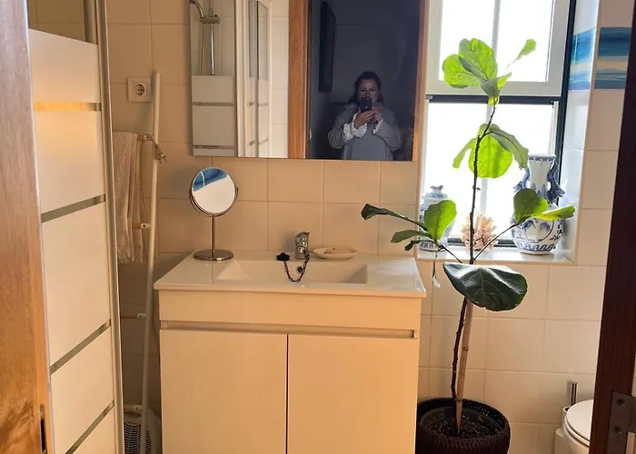 Kwatera prywatna Casa Do Caracol Oliveira de Azeméis