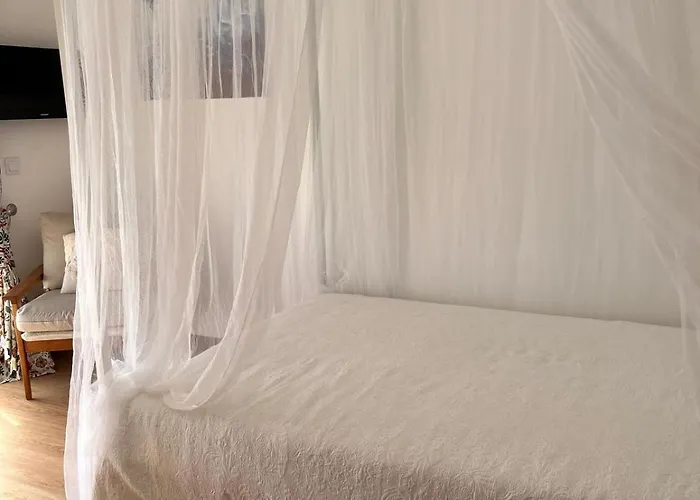 Casa Do Caracol Séjour chez l'habitant